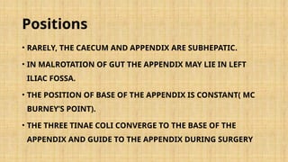 The Vermiform Appendix and Appendicitis.pptx
