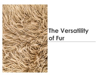 The Versatility
of Fur
 