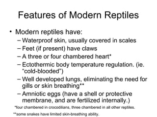Features of Modern Reptiles
• Modern reptiles have:
– Waterproof skin, usually covered in scales
– Feet (if present) have ...