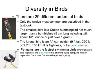 A Few Orders of Birds
• Falconiformes: Birds of prey,
or “raptors”
• Anserformes: Ducks and
Geese
• Strigiformes: Owls
• P...