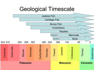 Geological Timescale
Paleozoic Mesozoic Cenozoic
Cambrian
Ordovician
Silurian
Devonian
Carboniferous
Permian
Triassic
Jura...