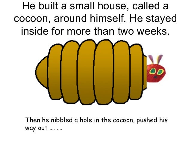 Theveryhungrycaterpillar 091103160053 phpapp01