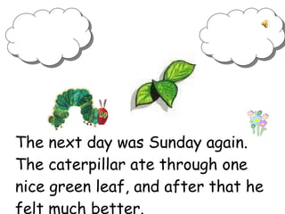 The next day was Sunday again. The caterpillar ate through one nice green leaf, and after that he felt much better.