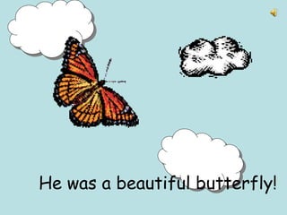 He was a beautiful butterfly!