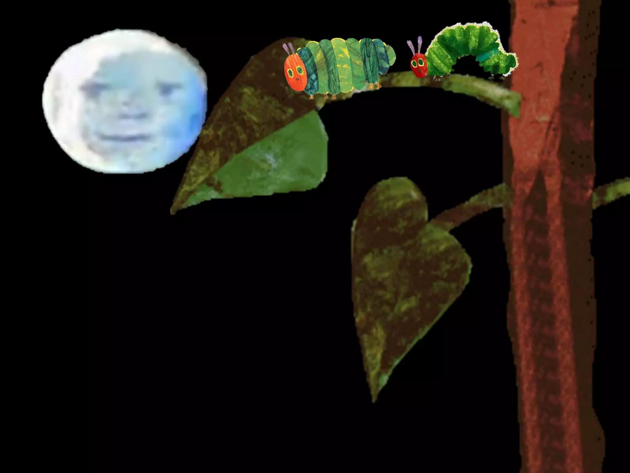 The very hungry caterpillar power point | PPTX