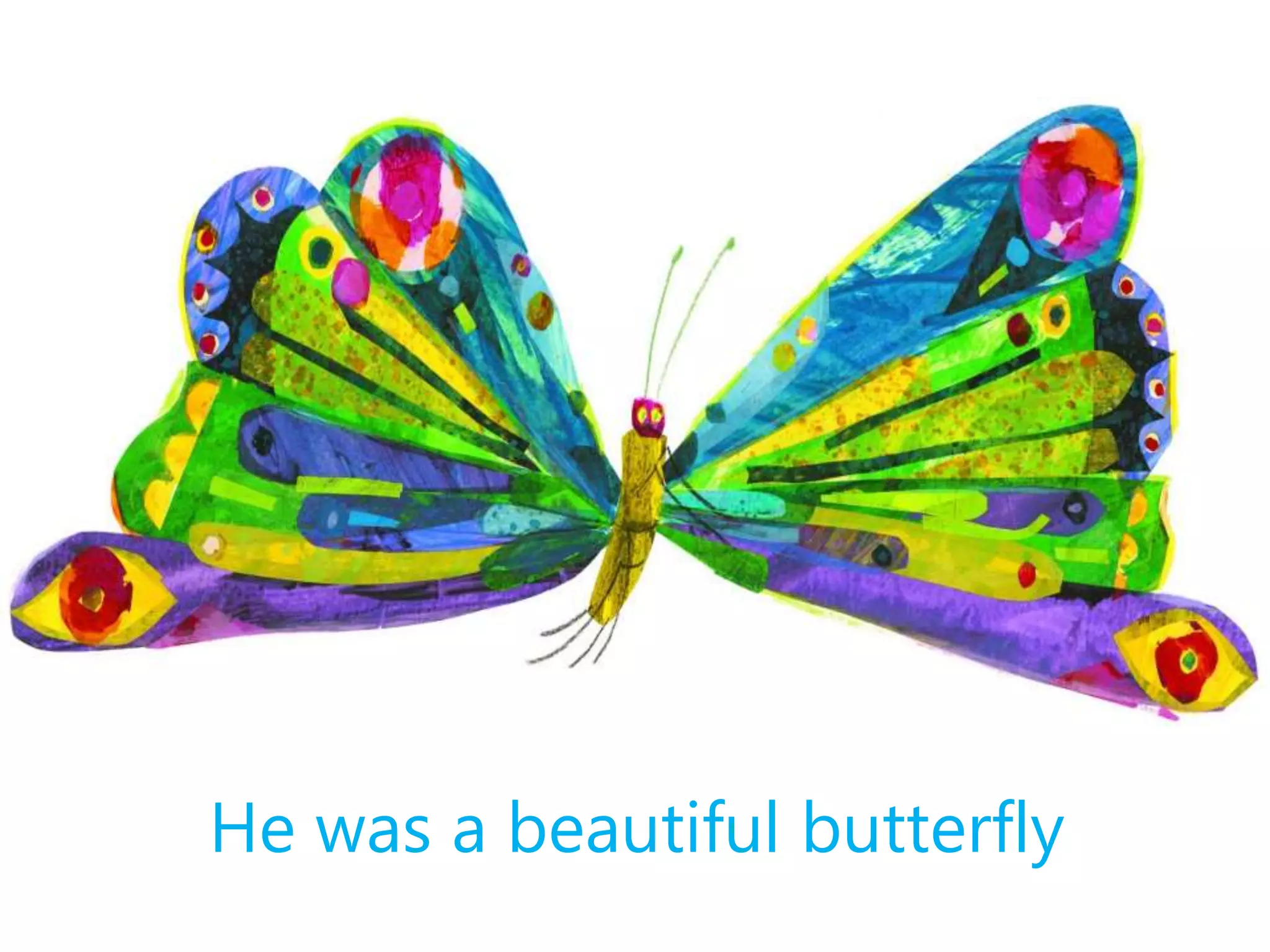 He was a beautiful butterfly