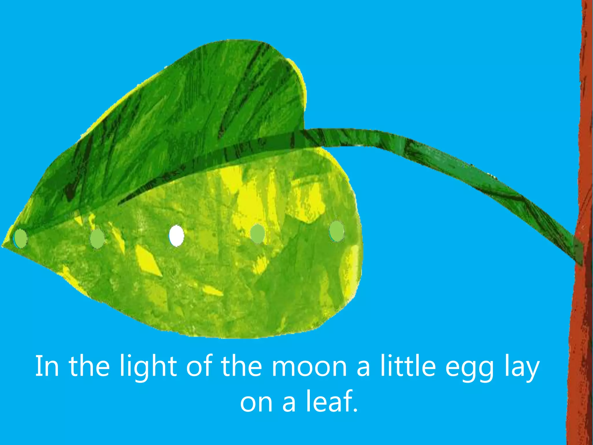 In the light of the moon a little egg lay
on a leaf.