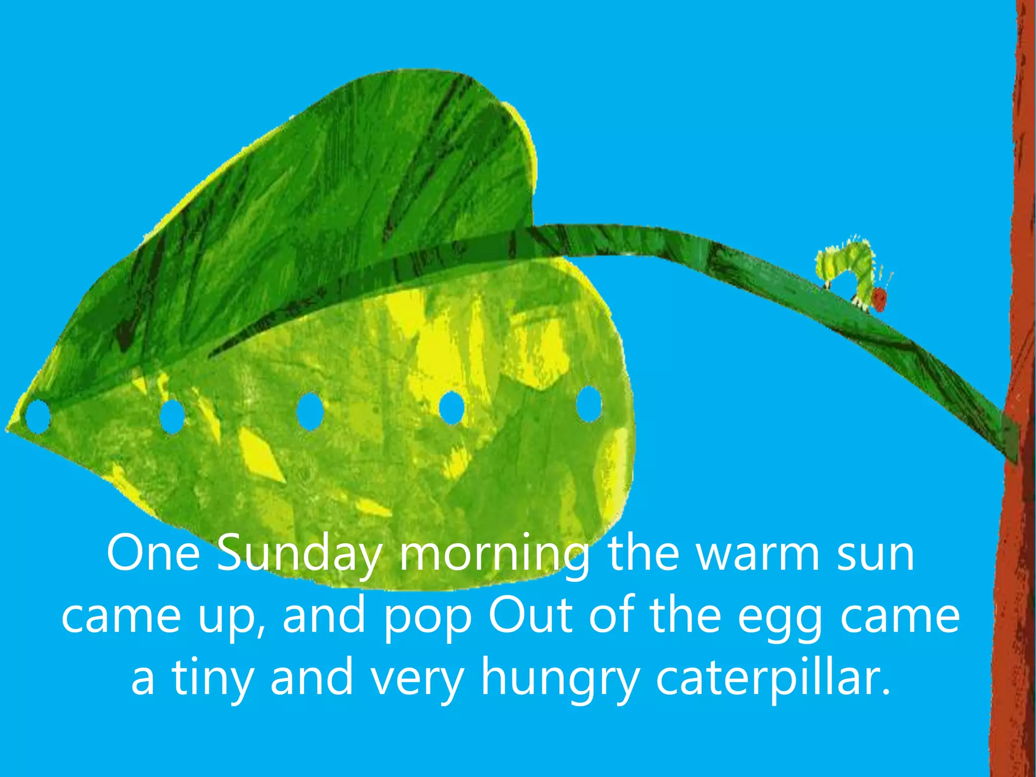 One Sunday morning the warm sun
came up, and pop Out of the egg came
a tiny and very hungry caterpillar.