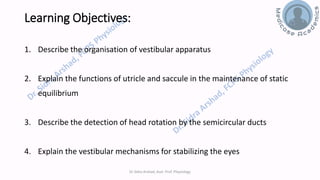Balance and Equilibrium - The Vestibular System | PDF