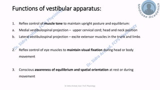 Balance and Equilibrium - The Vestibular System | PDF