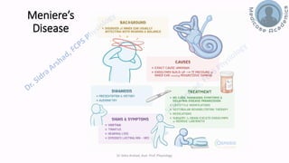 Balance and Equilibrium - The Vestibular System | PDF