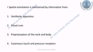 Balance and Equilibrium - The Vestibular System | PDF