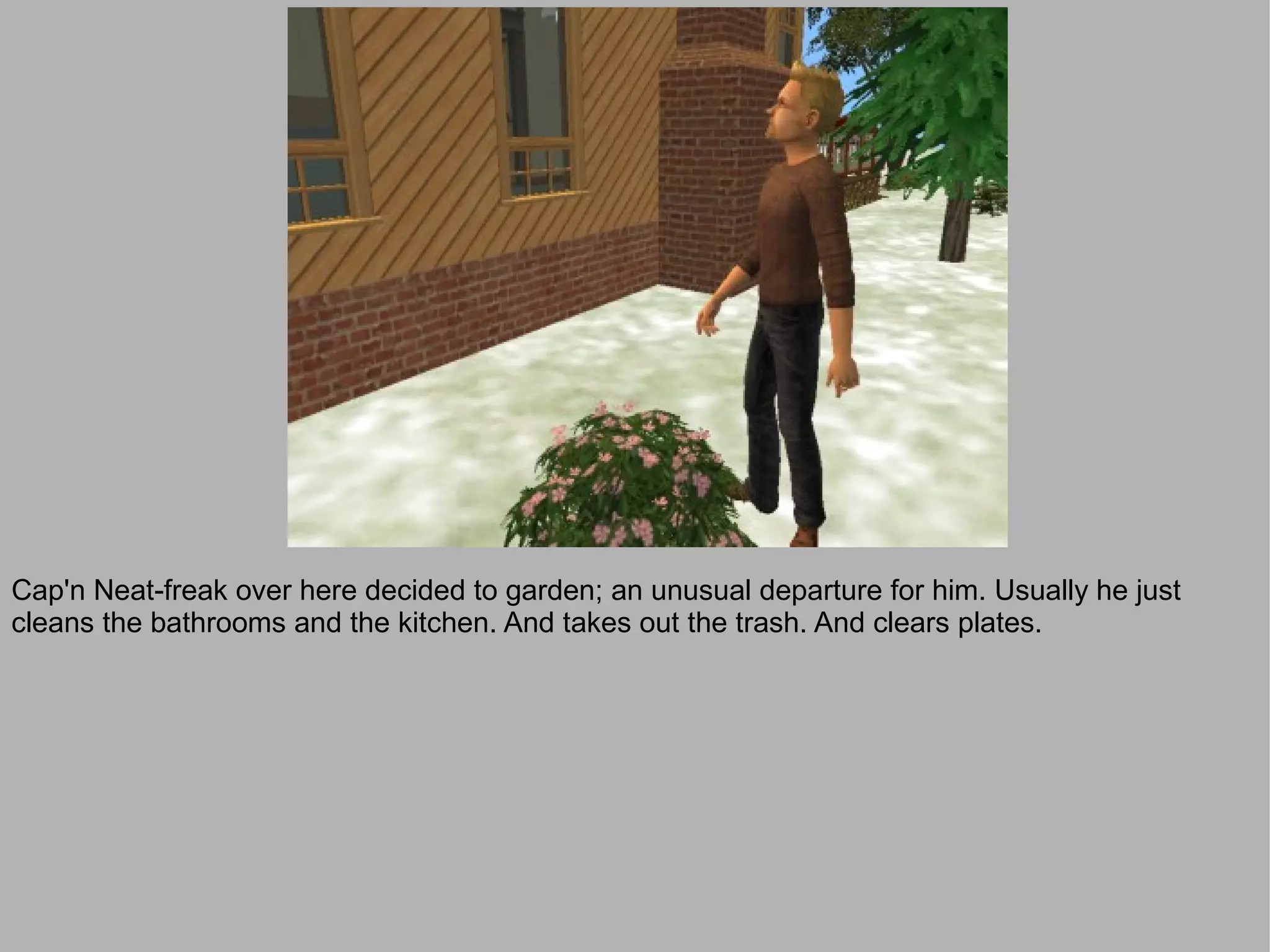 Cap'n Neat-freak over here decided to garden; an unusual departure for him. Usually he just
cleans the bathrooms and the kitchen. And takes out the trash. And clears plates.
 