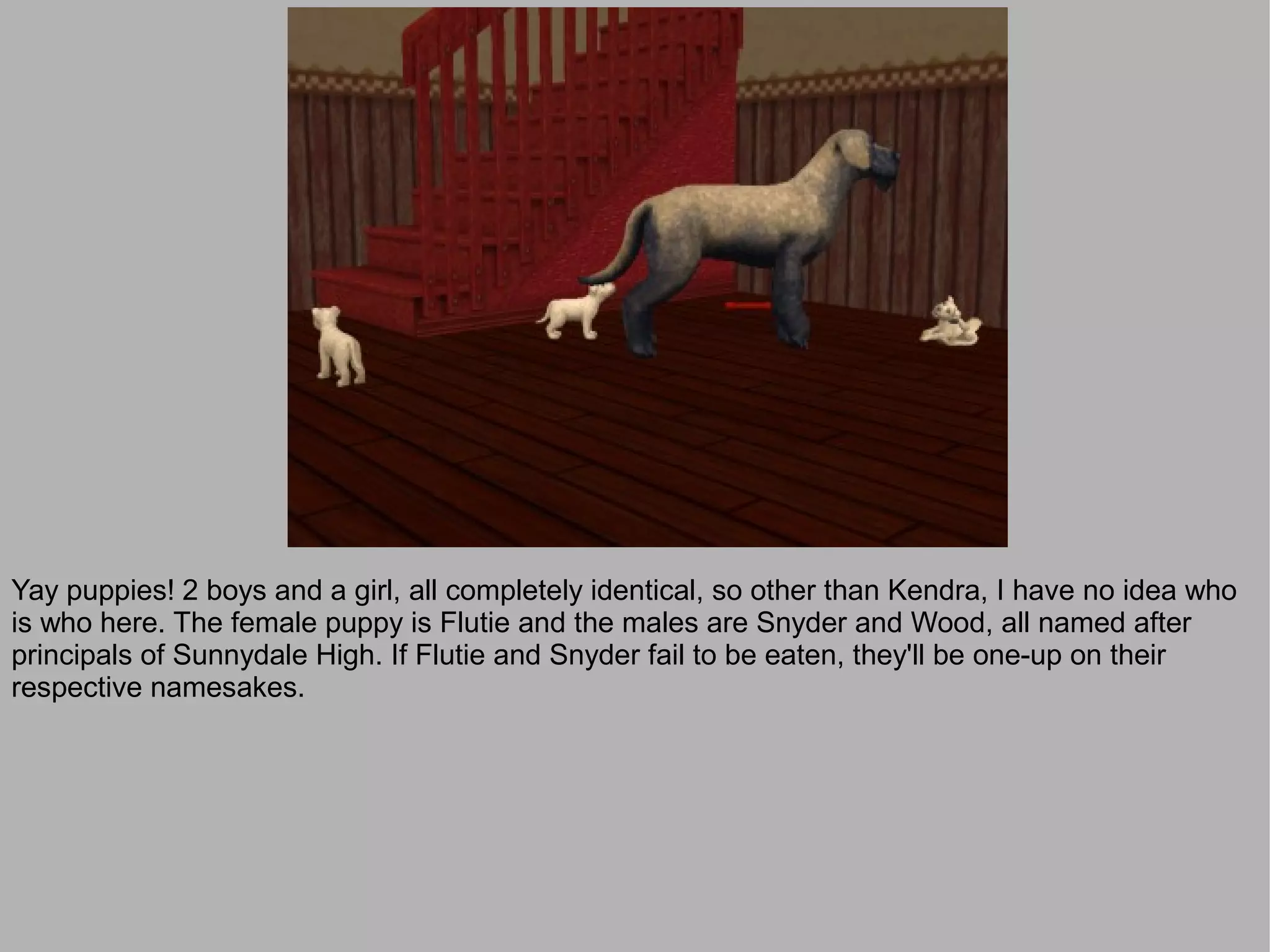 Yay puppies! 2 boys and a girl, all completely identical, so other than Kendra, I have no idea who
is who here. The female puppy is Flutie and the males are Snyder and Wood, all named after
principals of Sunnydale High. If Flutie and Snyder fail to be eaten, they'll be one-up on their
respective namesakes.
 