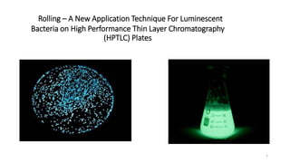 Rolling – A New Application Technique For Luminescent
Bacteria on High Performance Thin Layer Chromatography
(HPTLC) Plates
1
 