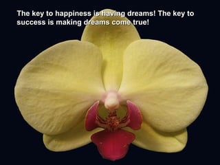 The key to happiness is having dreams! The key to success is making dreams come true!   