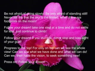Be not afraid of going slowly! Be only afraid of standing still! Never tell me that the sky is the limited, when there are footprints on the moon! Follow your dream! take one step at a time and do not settle for less, just continue to climb! Follow your dream! If you stumble, donot stop and loss sight of your goal! Progress to the top! For only on top can we see the whole view! Can we see what we have done and what we can do! Can we, then have the vision, to seek something new!  Press on! Follow your dream!   
