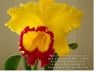 There is three aspects in a person’s life : what you think of yourself; what others think of you; and what really you are! 