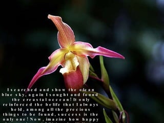 I searched and show the clean blue sky, again I sought and found  the creastal occean! It only reinforced the belife that I always held, among all the precious things to be found, success is the only one! Now, imazine how happy I am to have it! Either I will find a way or make it one! 