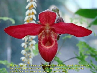 If you have choosen your hobbies and interests as your profession, you do not need to work even for an hour in your entire life! 