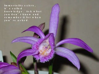 Immortality exists, it’s called knowledge.  Ask what you don’t know and remember it for when you’re asked.  