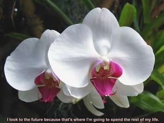 I look to the future because that's where I'm going to spend the rest of my life. 