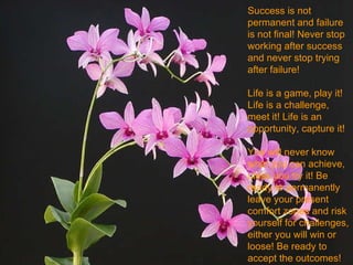 Success is not permanent and failure is not final! Never stop working after success and never stop trying after failure! Life is a game, play it! Life is a challenge, meet it! Life is an opportunity, capture it! You will never know what you can achieve, uless you try it! Be ready to permanently leave your present comfort zones and risk yourself for challenges, either you will win or loose! Be ready to accept the outcomes! 