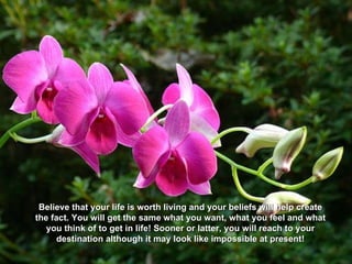 Believe that your life is worth living and your beliefs will help create the fact. You will get the same what you want, what you feel and what you think of to get in life! Sooner or latter, you will reach to your destination although it may look like impossible at present! 