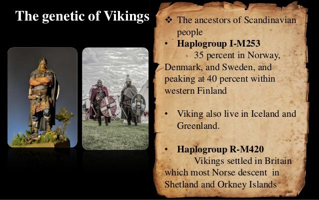 The vikings age presentation