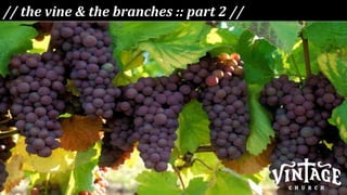 // the vine & the branches :: part 2 // 
