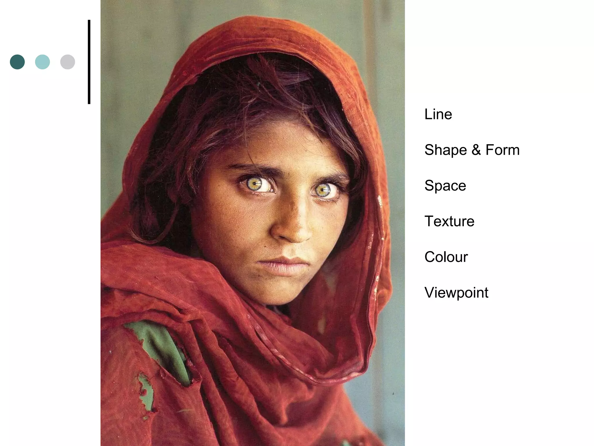 Line  Shape & Form Space  Texture  Colour  Viewpoint 