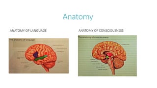 Anatomy
ANATOMY OF LANGUAGE ANATOMY OF CONSCIOUSNESS
 