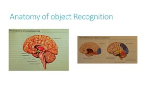 Anatomy of object Recognition
 