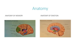 Anatomy
ANATOMY OF MEMORY ANATOMY OF EMOTION
 