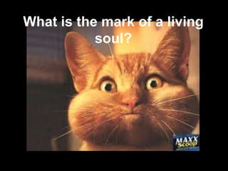What is the mark of a living
           soul?
 