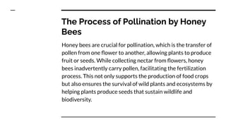 The Vital Role of Honey Bees in Our Ecosystem.pdf