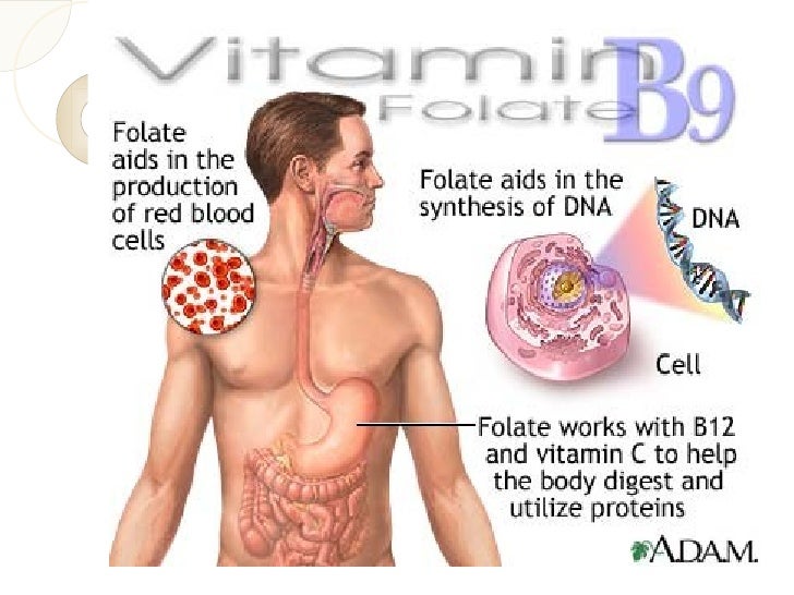 The vitamins in our body