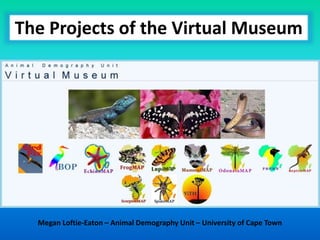 The Projects of the Virtual Museum
Megan Loftie-Eaton – Animal Demography Unit – University of Cape Town
 