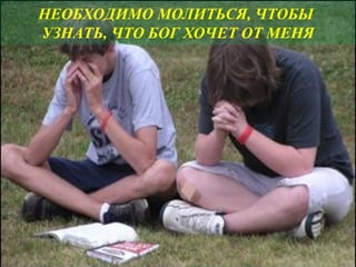  , 
,     
 