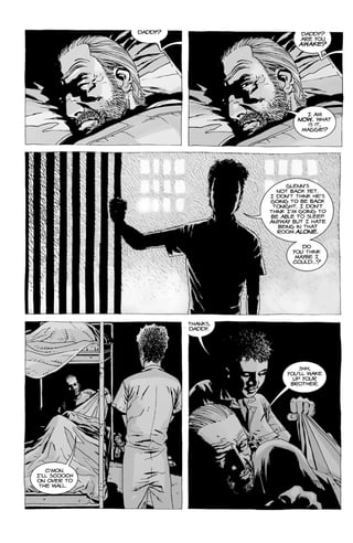 The Walking Dead volume 5