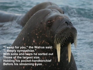The Walrus and the Carpenter | PPT