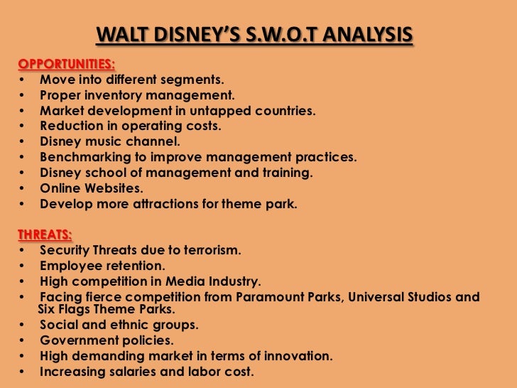 Disneyland essay