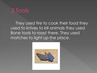 They used fire to cook their food they
used to knives to kill animals they used
Bone tools to roast there. They used
matches to light up the place.
 
