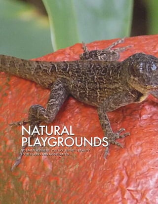 15
NATURAL
PLAYGROUNDSNO MATTER WHERE YOU GO: THERES BEAUTY
TO BE FOUND AND APPRECIATED.
 