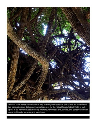 This is a place where conservation is key. Not only does the local vibe put o? an air of classy,
laid back relaxation, it also communicates a love for the natural ?orida habitat that it is built
upon. ?It's a harmonious relationship where tourism meets arts, culture, and conservation with
grace, right under sunshine and palm trees.?

 