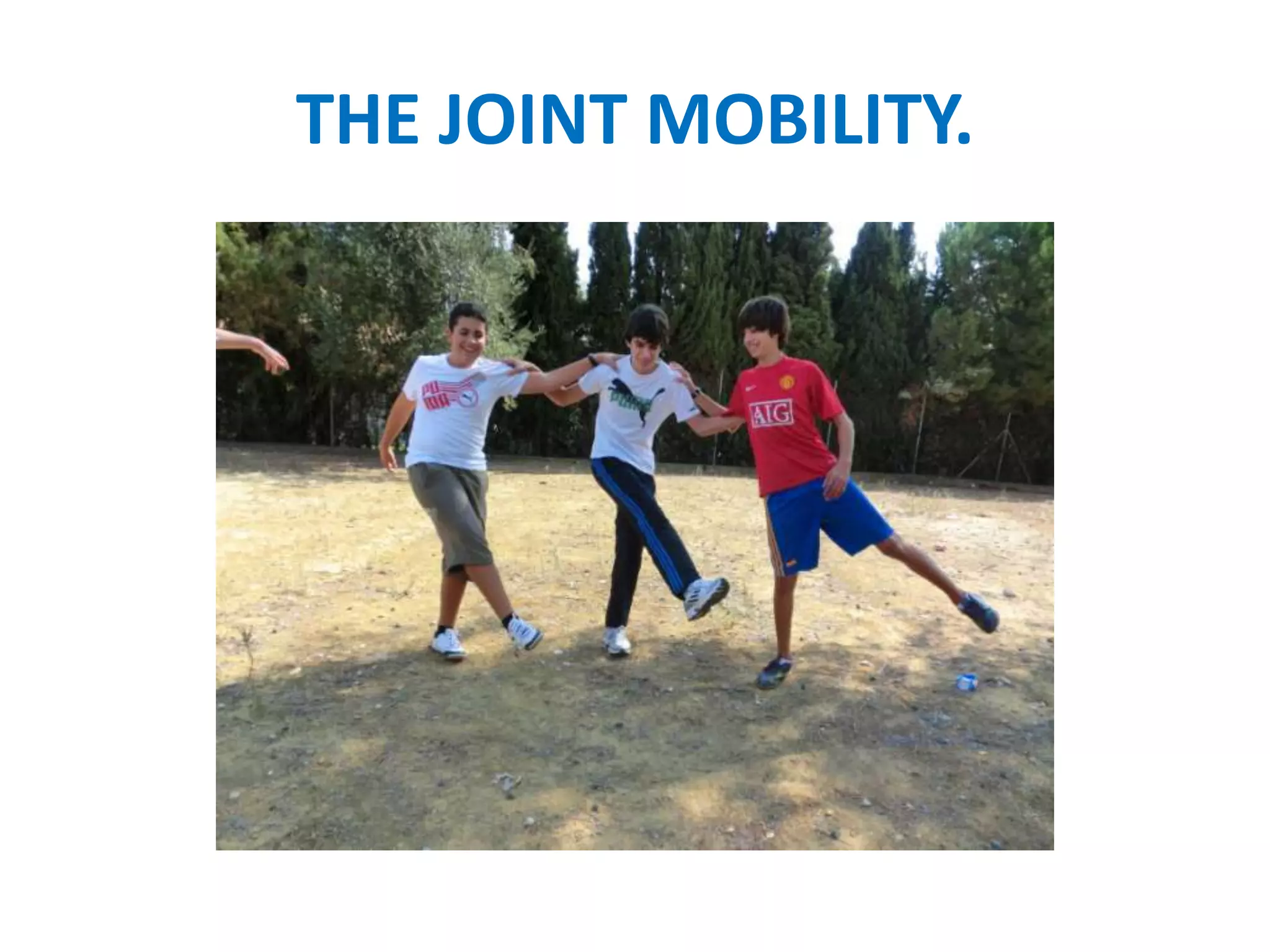 THE JOINT MOBILITY.
 