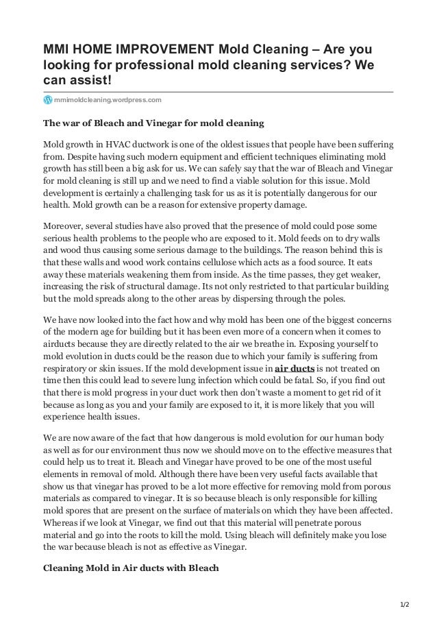 The war of bleach and vinegar for mold cleaning