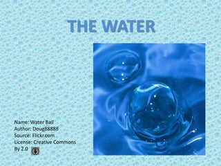 THE WATER

Name: Water Ball
Author: Doug88888
Source: Flickr.com
License: Creative Commons
By 2.0

 