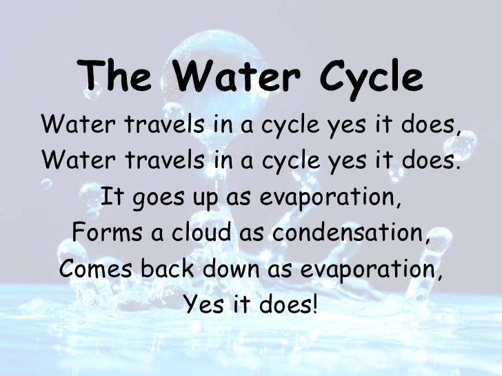The Water Cycle!