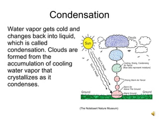 The Water Cycle | PPT
